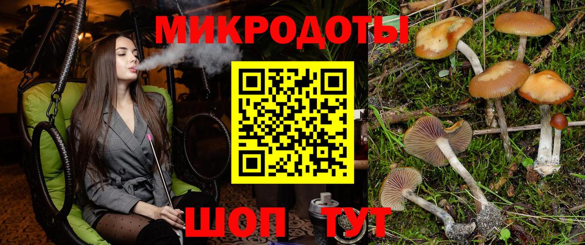 Галлюциногенные грибы GOLDEN TEACHER  Псилоцибиновые грибы мицелий  Вход с VPN  Сызрань 